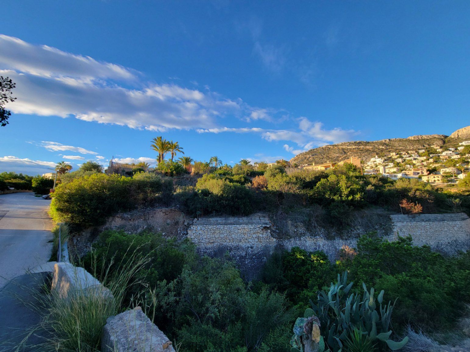 Kustlandschap met weelderige vegetatie en uitzicht op een heuvel met bebouwing.