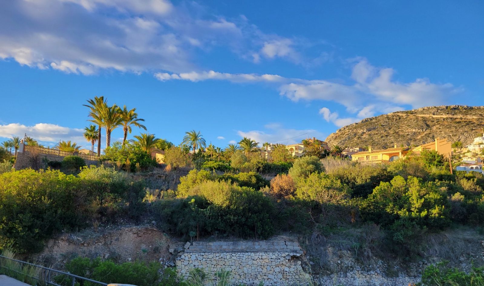 Heuvel aan de kust met palmbomen en huizen