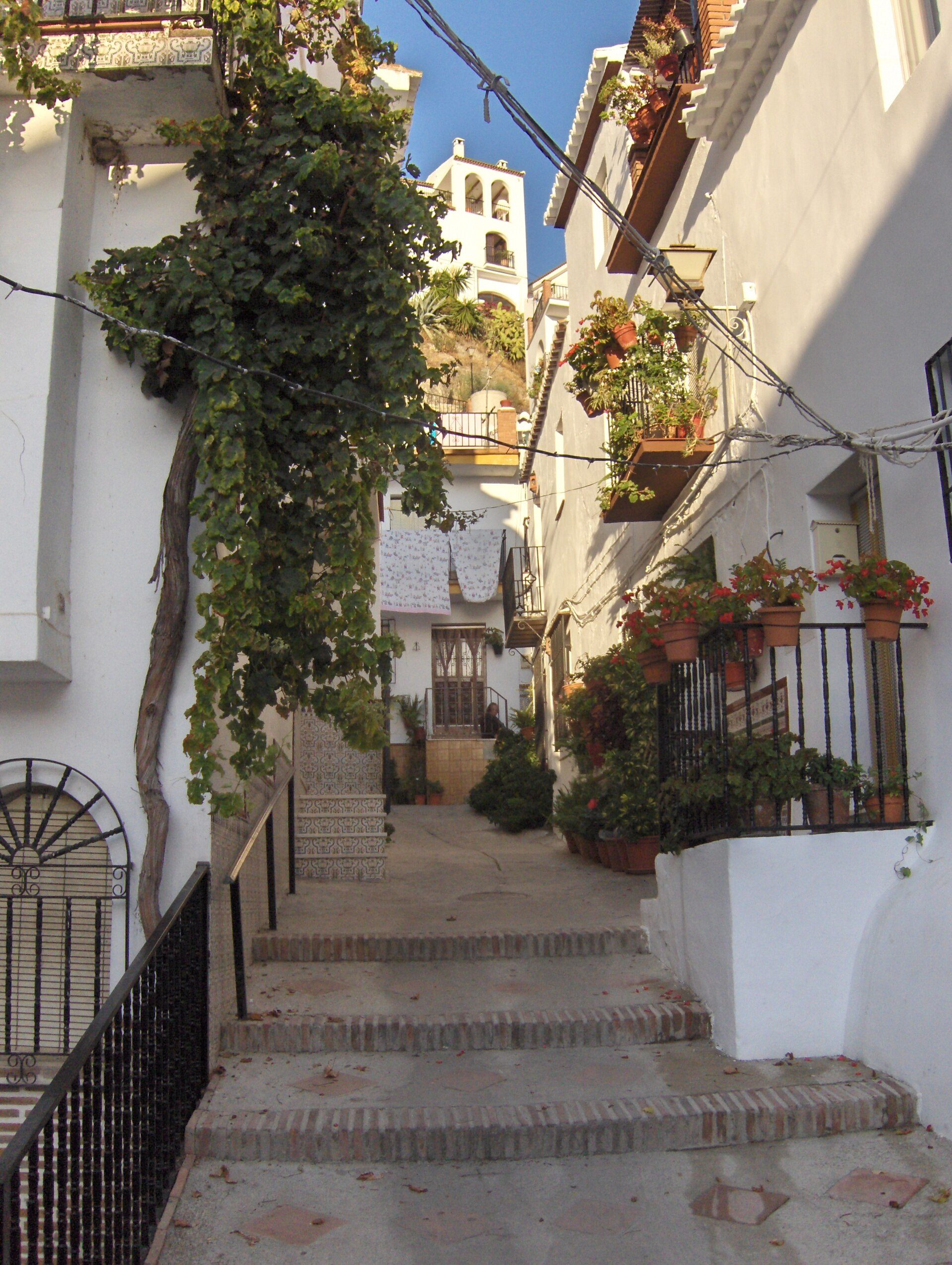 Canillas de Aceituno