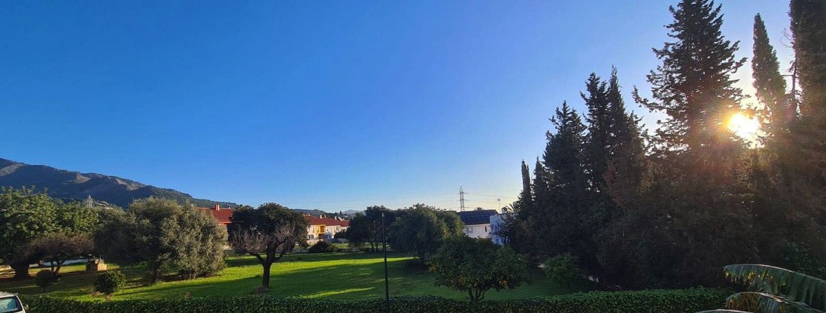 04 photo