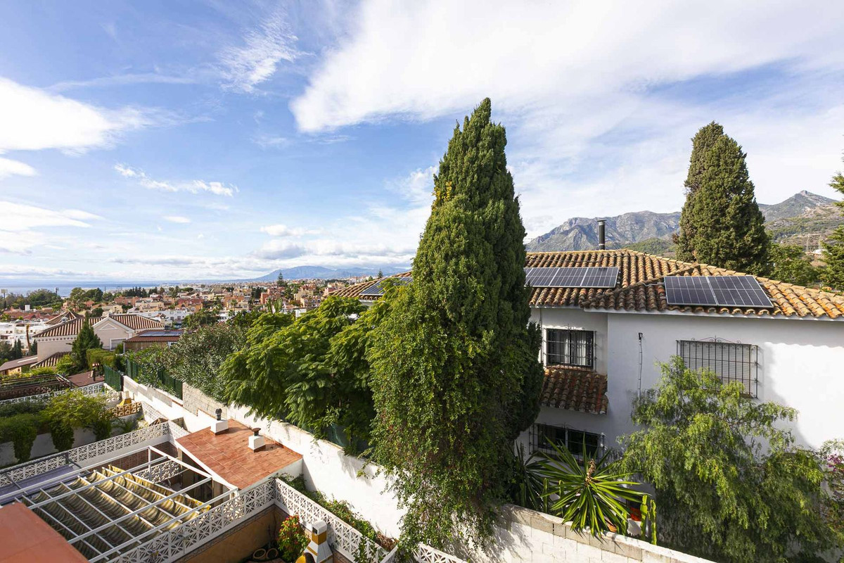 06 photo