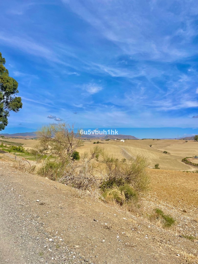 Land in Cártama エリア Cártama — 土地