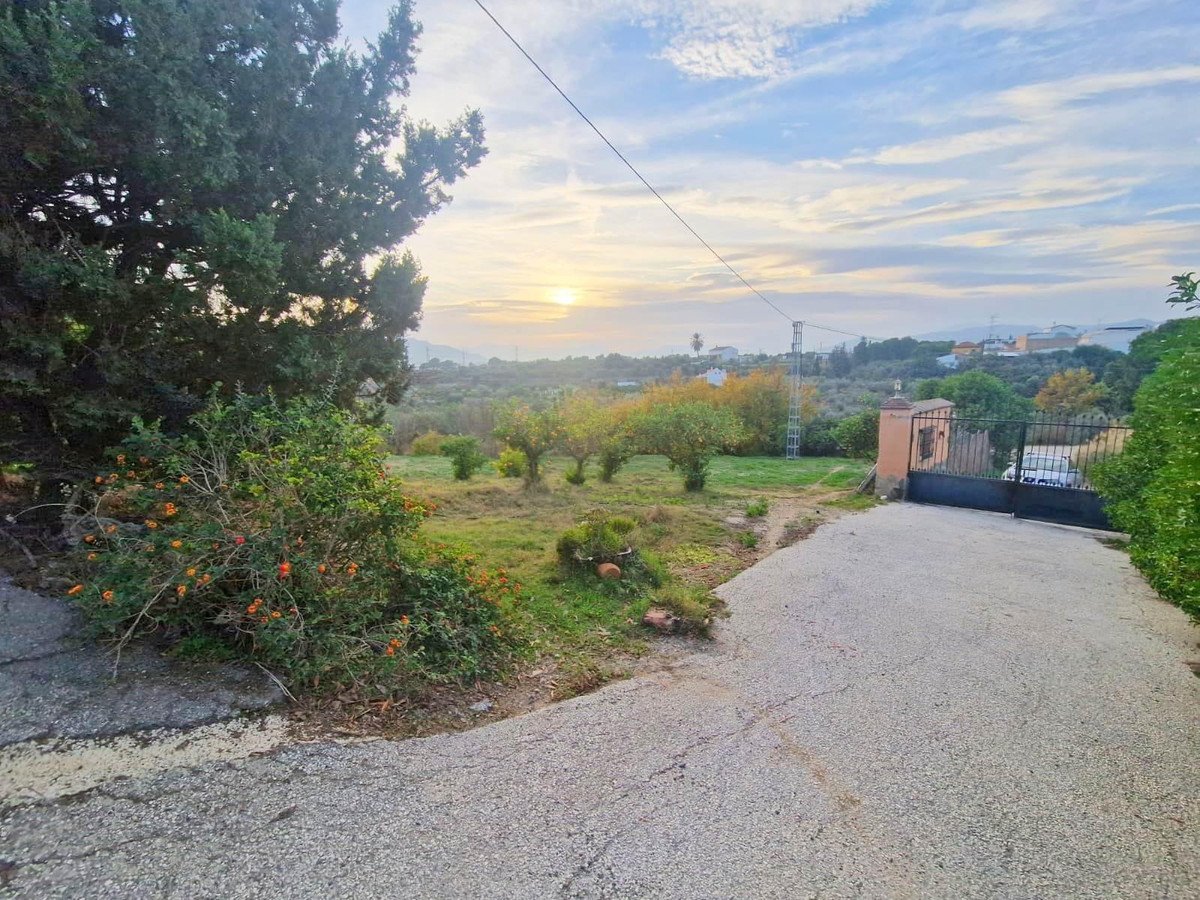 02 photo