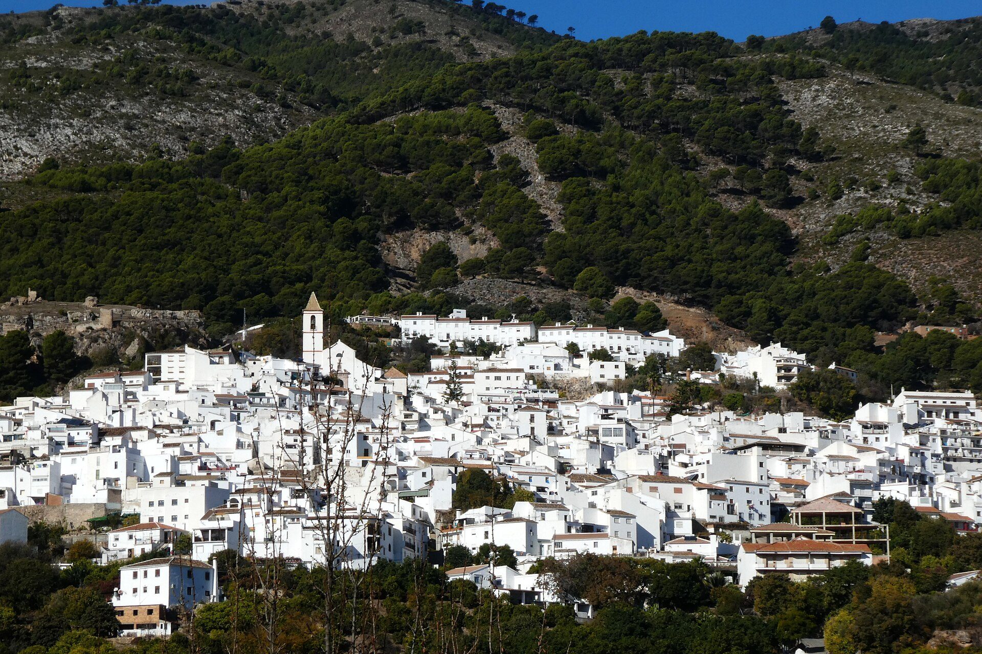 Finca's in Casarabonela