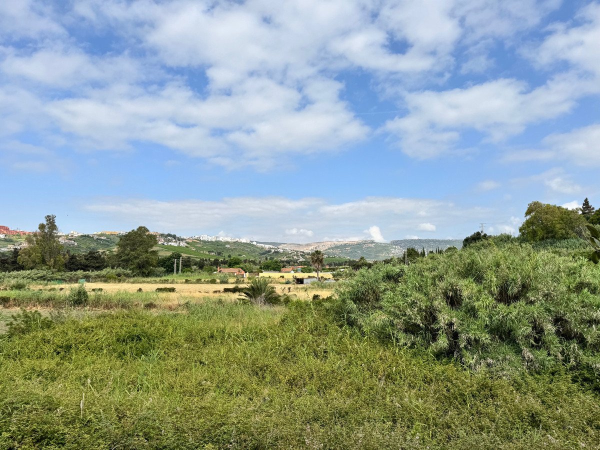 05 photo