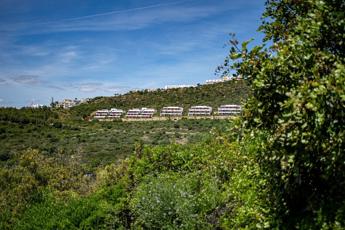 07 photo