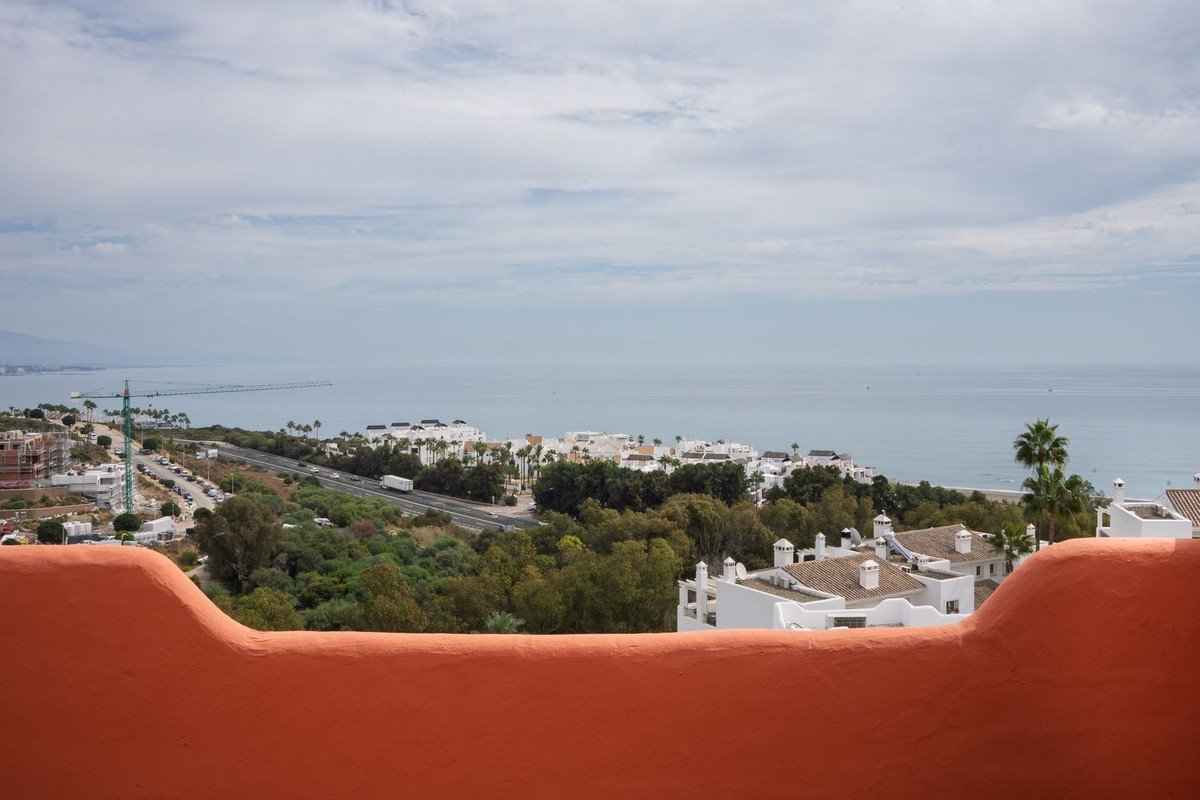 06 photo