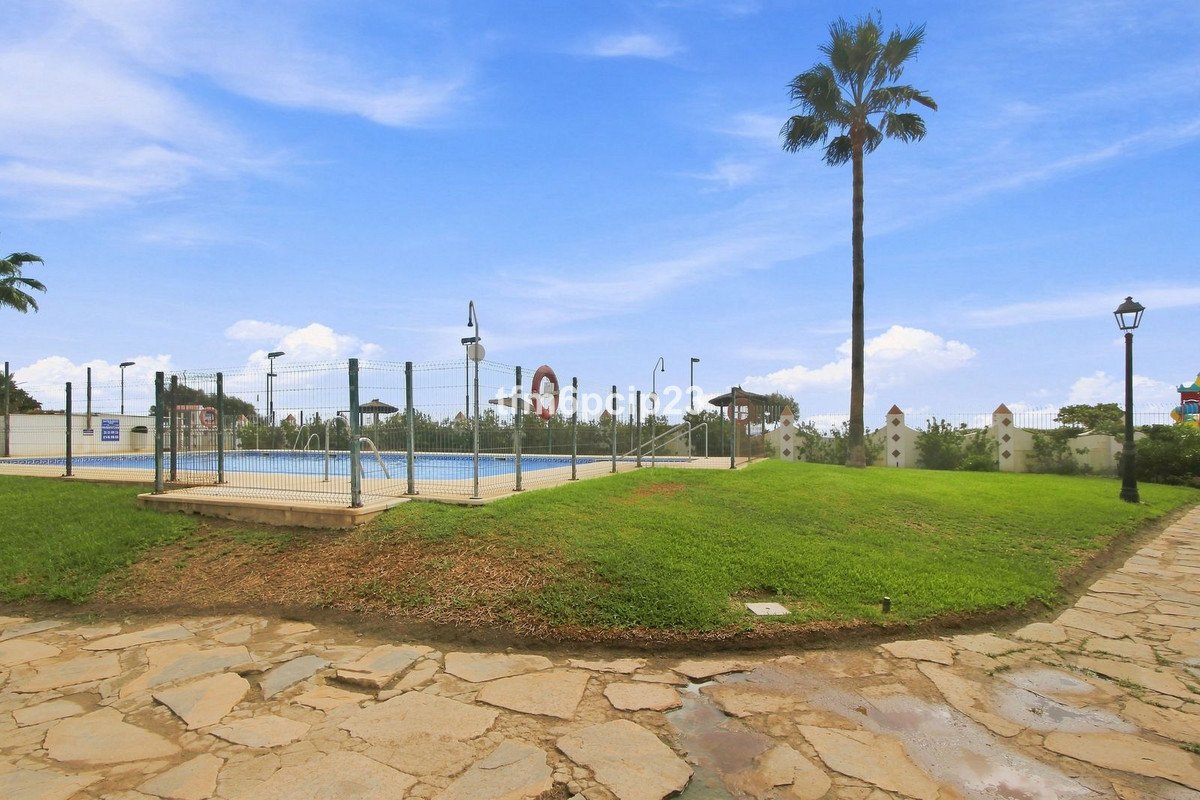 Outdoor swimming pool area with a tall palm tree, green grass, and a paved pathway under a blue sky.