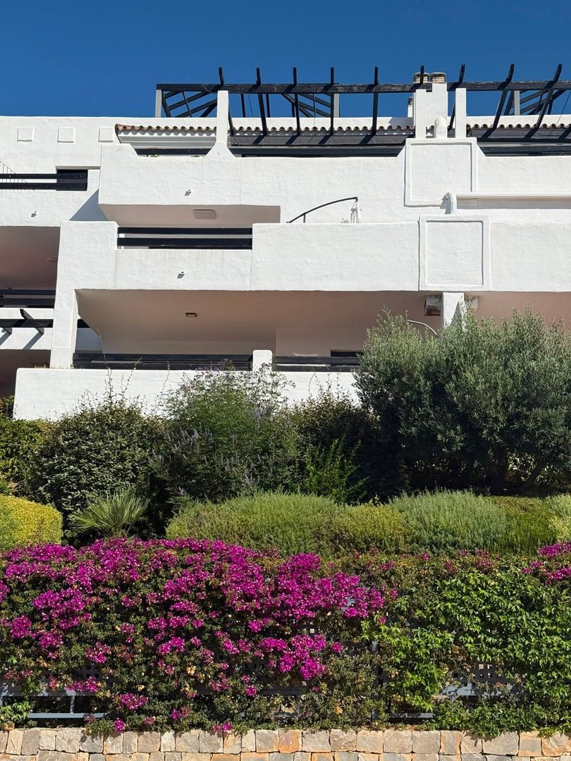 Modern white building with balconies and a vibrant garden featuring purple bougainvillea and lush greenery.