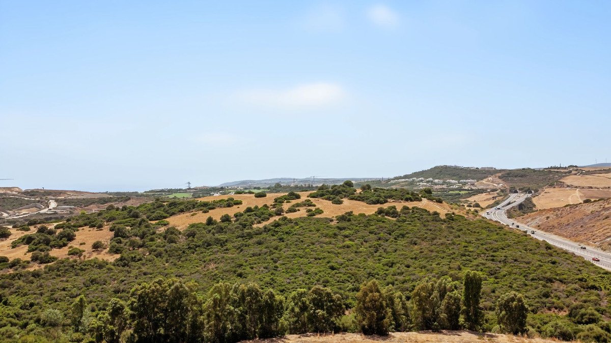 05 photo