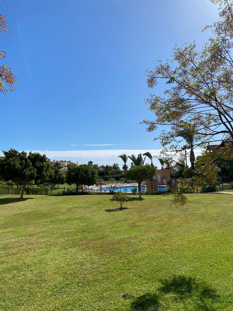 Lush green lawn with trees, a swimming pool, and buildings in the background under a clear blue sky.