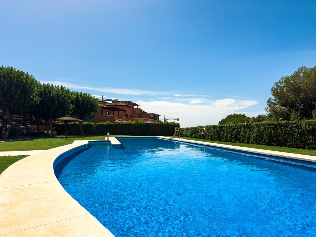 A bright blue swimming pool with a paved edge and steps, set against a lawn, green hedges, and distant buildings under a clear blue sky.