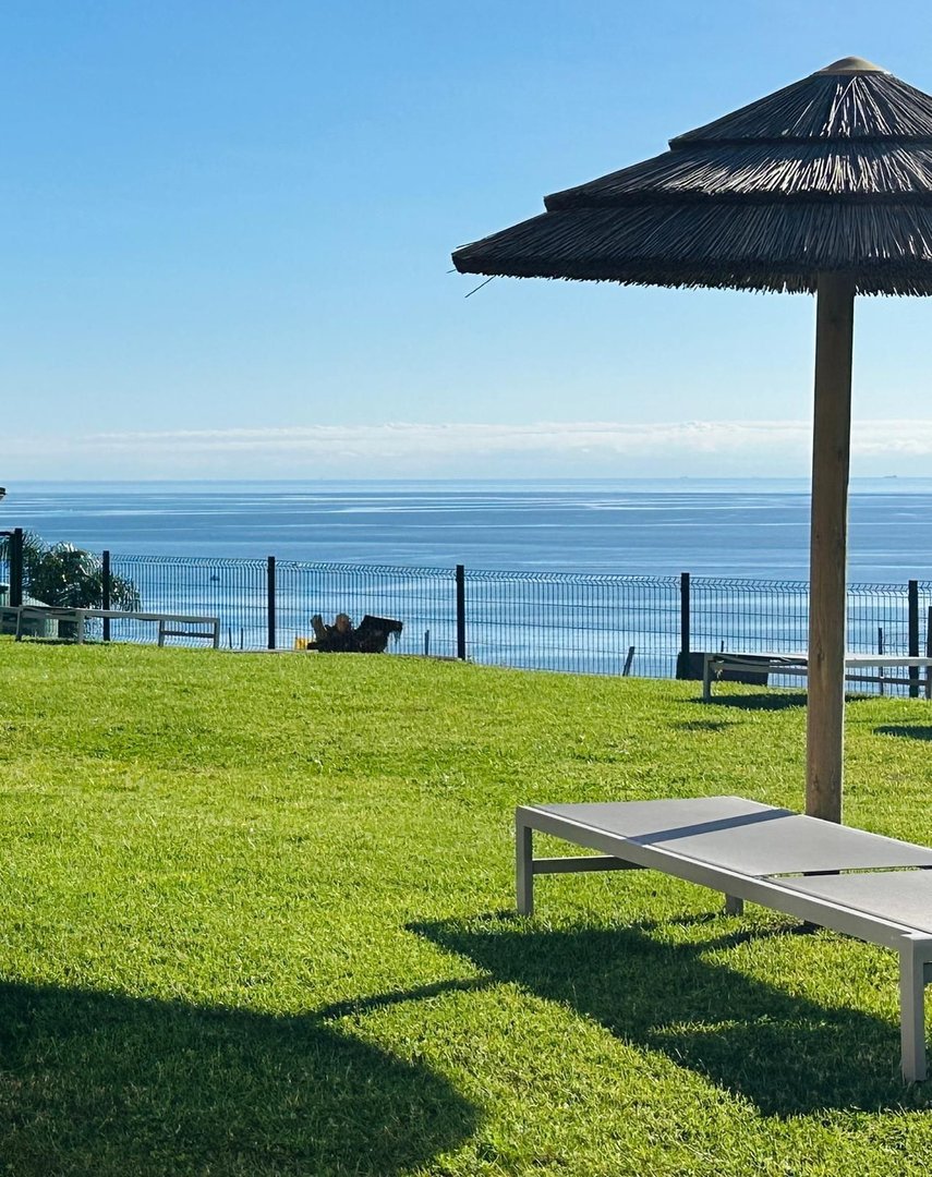 Lawn with a chaise lounge and thatched umbrella overlooking the ocean on a sunny day.