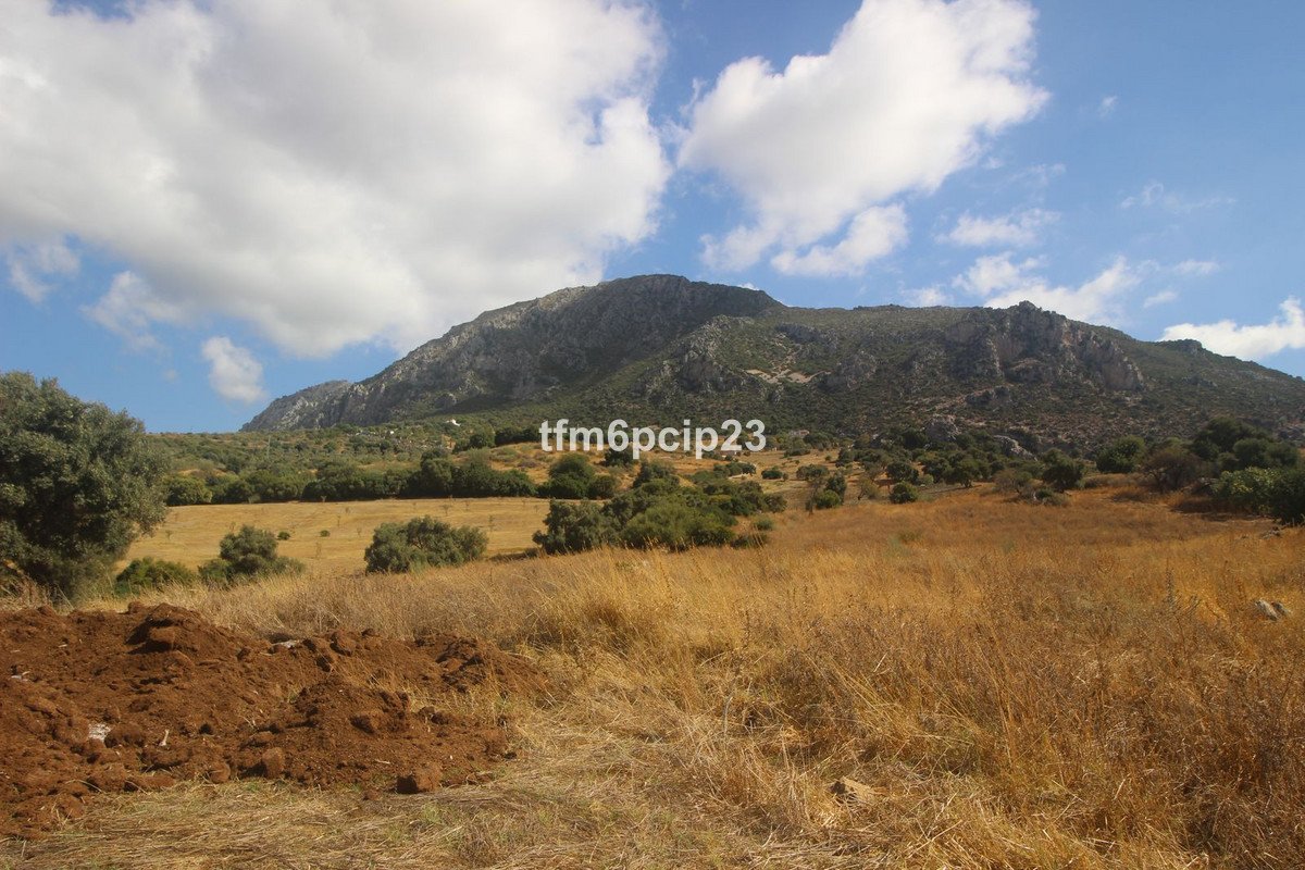 Land with Ruin in Casares في Casares, أرض مع خربة