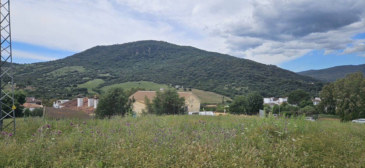 06 photo
