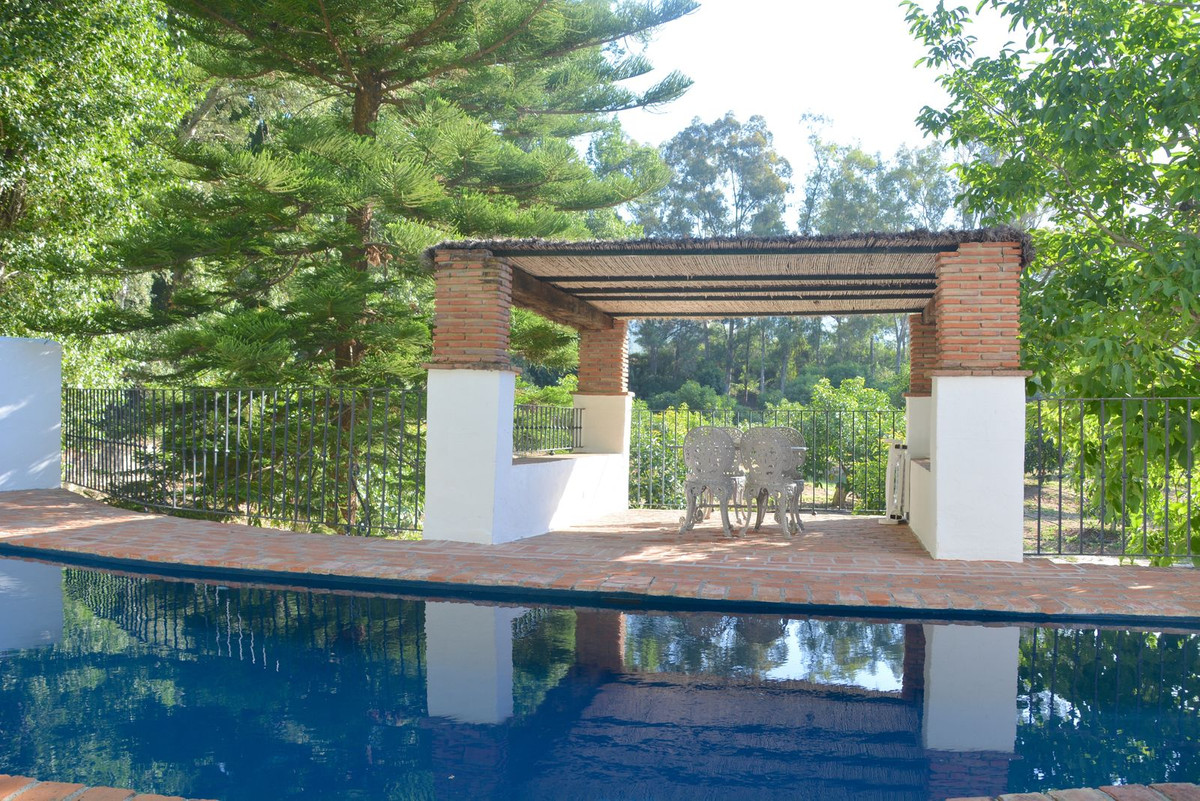 8 Bed مزرعة فينكا in Gaucín في Gaucín, مزرعة - كورتيخو