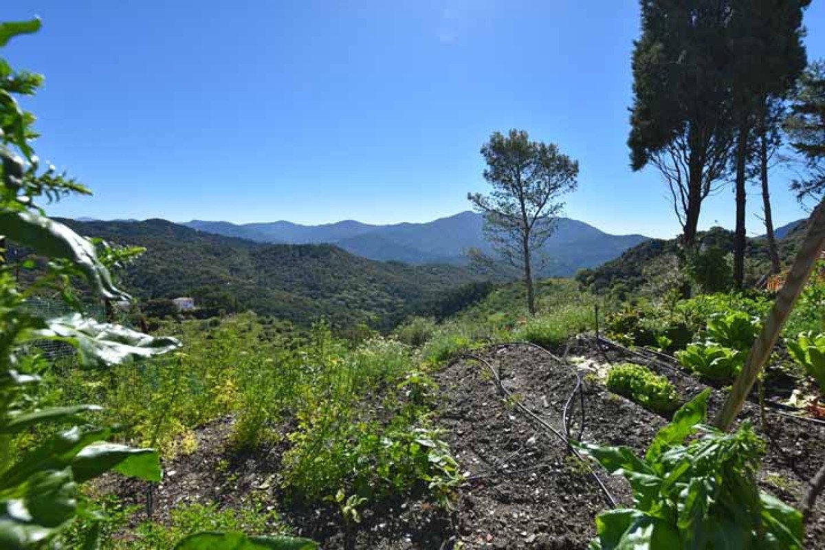 Residential Plot in Gaucín in Gaucín, Building Plot