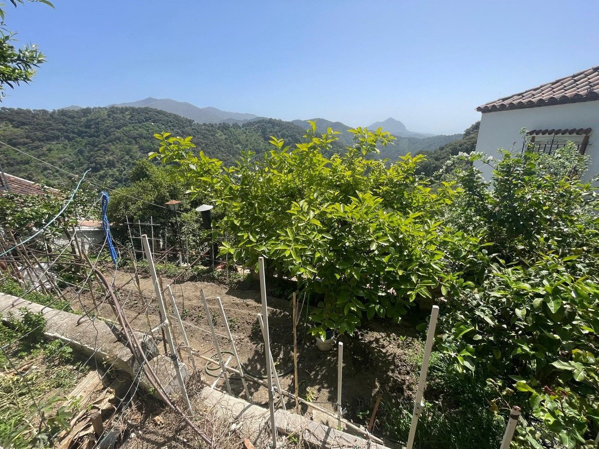 4 Bed Finca - Cortijo in Genalguacil in Genalguacil, Finca - Cortijo