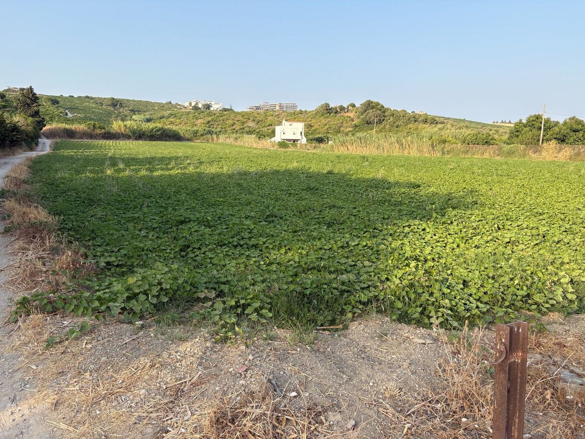 Land in Casares in Casares, Land