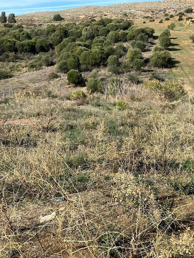 Commercial Plot in Casares rajons: Casares — Komerciāls zemes gabals