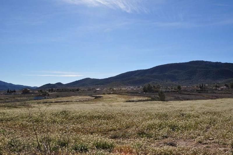 Land in Chinorlet ב- Chinorlet — קרקע