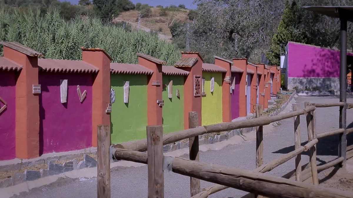 Kleurrijke muur met houten hek in een landelijke omgeving.