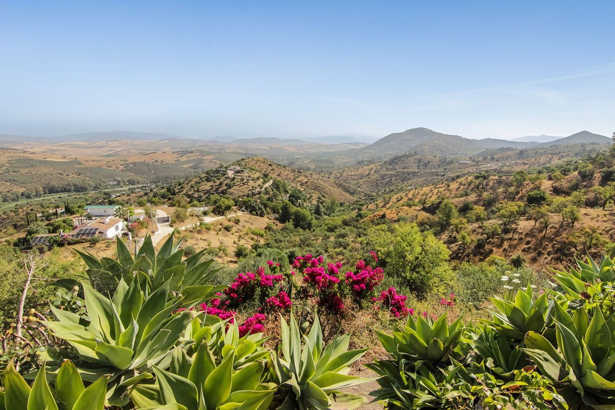 04 photo