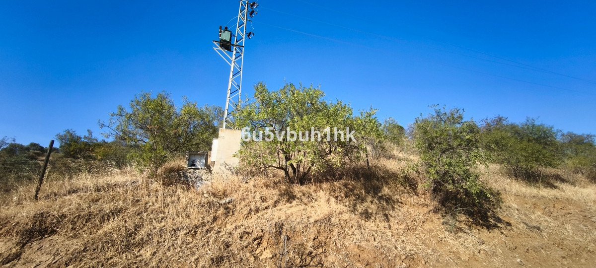 Land in Pizarra in Pizarra, Land