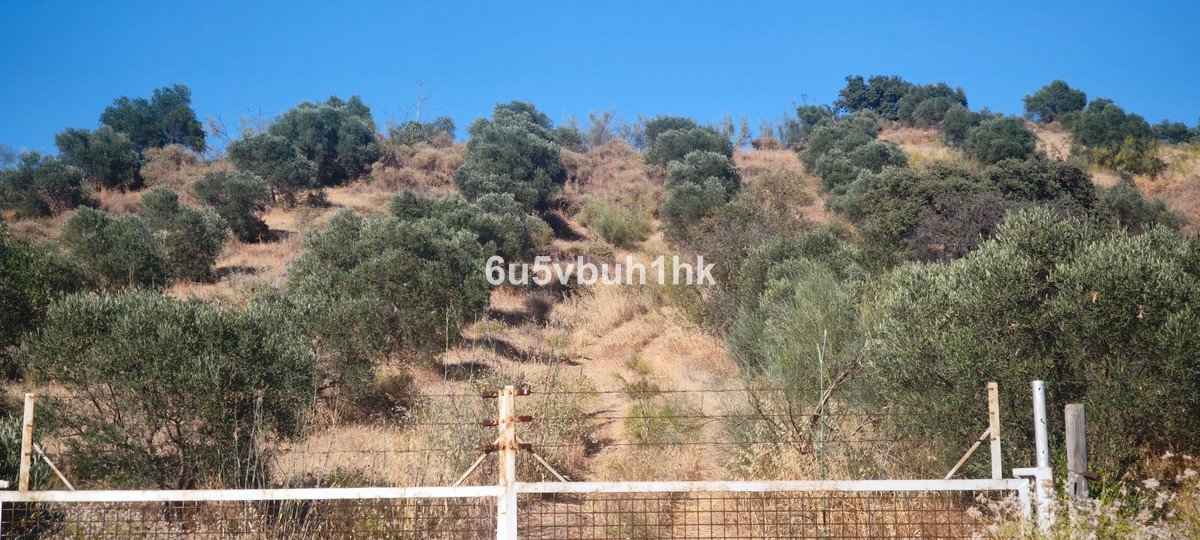 05 photo