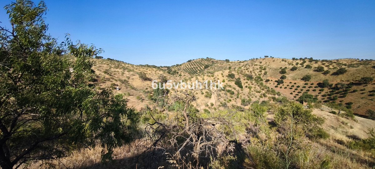 Land in Pizarra in Pizarra, Land