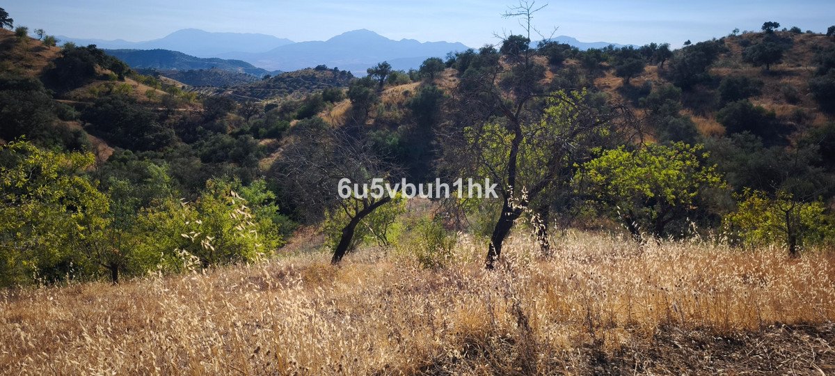 05 photo
