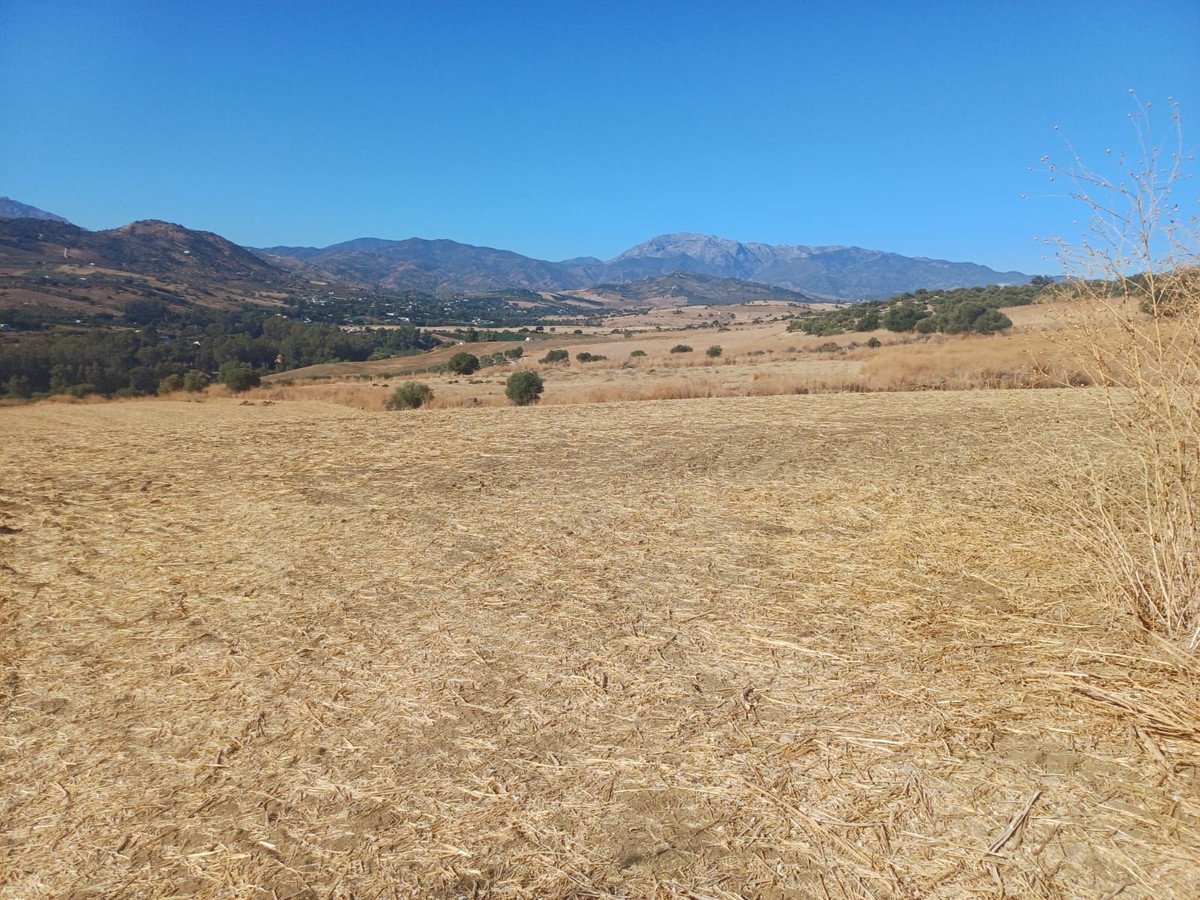 Land in Coín kohteessa Coín — Maa