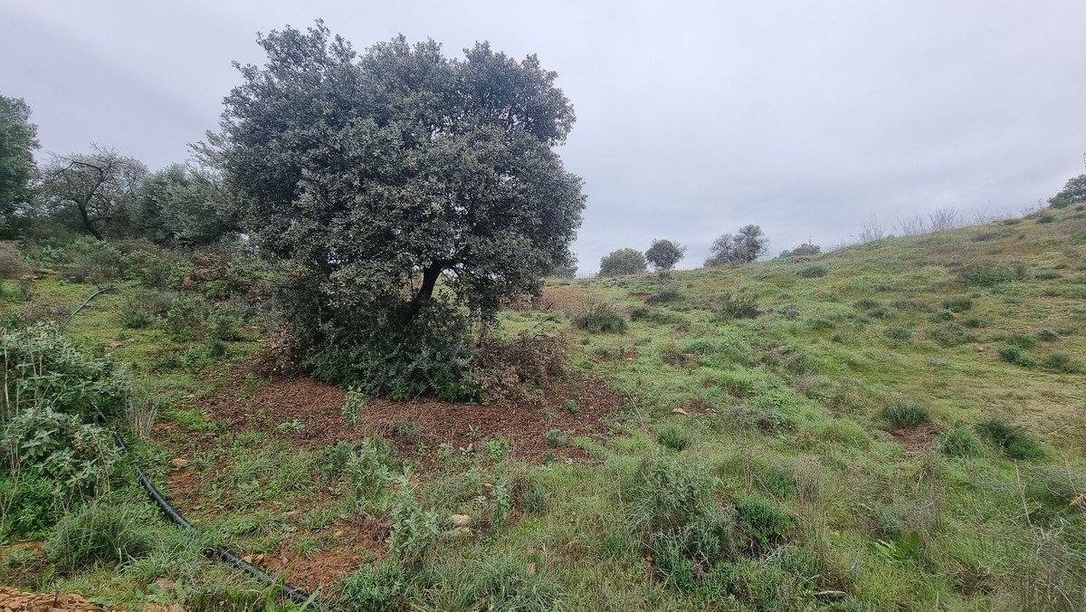 Land in Coín em Coín — Terreno