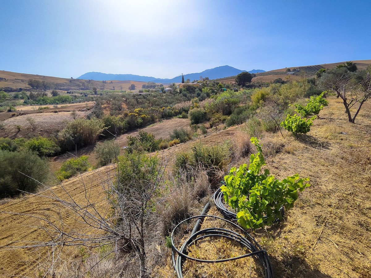 Land in Coín in Coín — Land