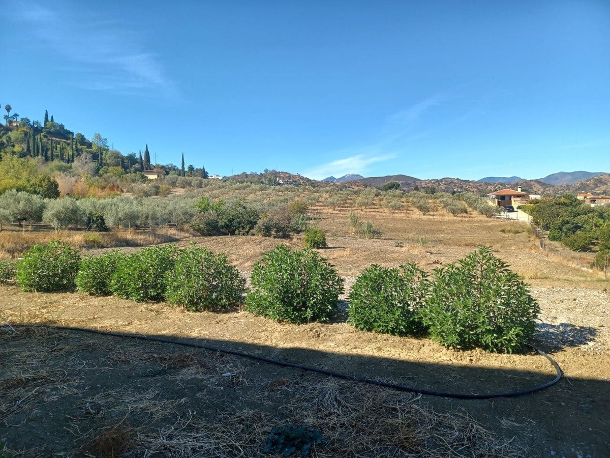 3 Bed Finca in Coín in Coín, Finca