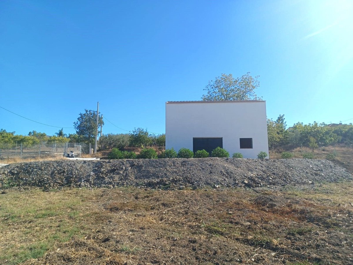 06 photo