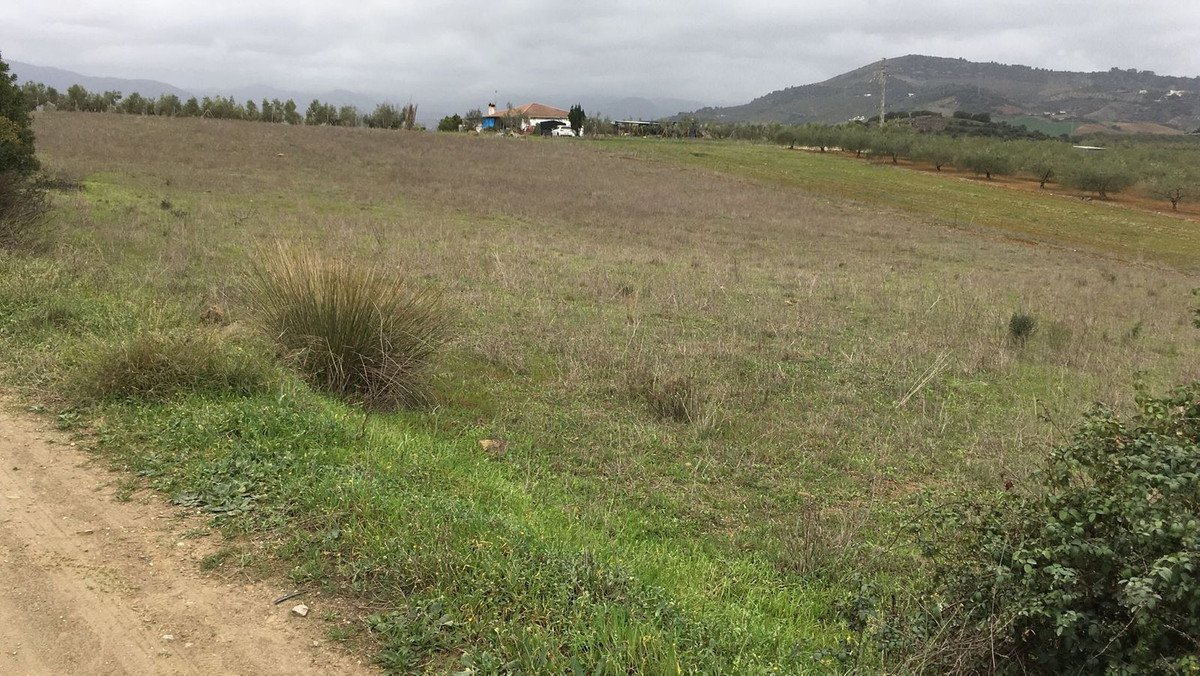 Land in Coín in Coín, Land