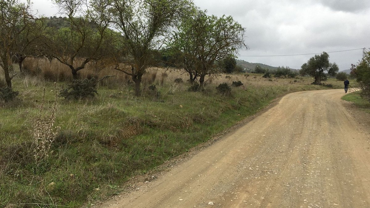 A dirt path winds through a grassy, treed landscape with hills in the background and a person walking away.