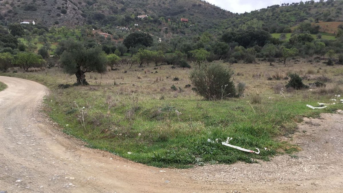 A dirt road curves through a rural landscape with olive trees and rolling hills in the background.