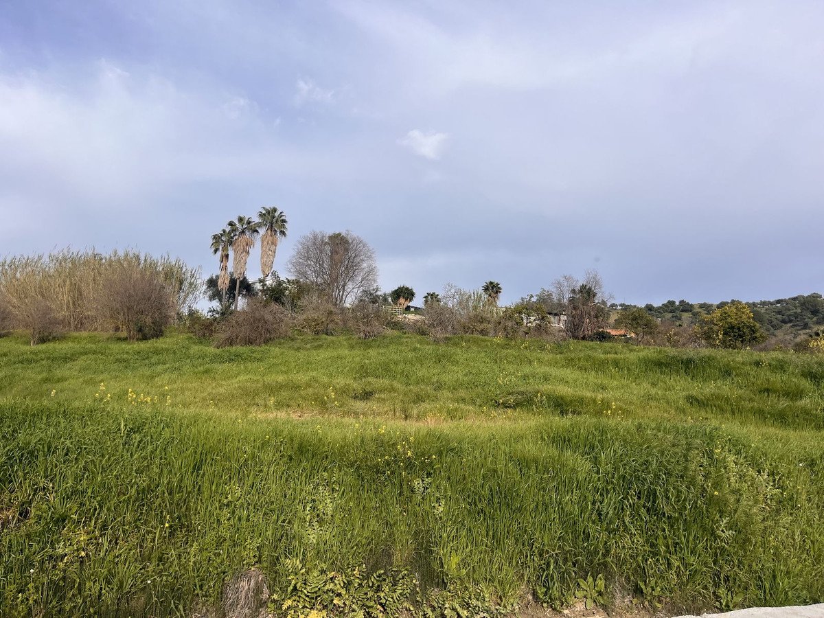 04 photo