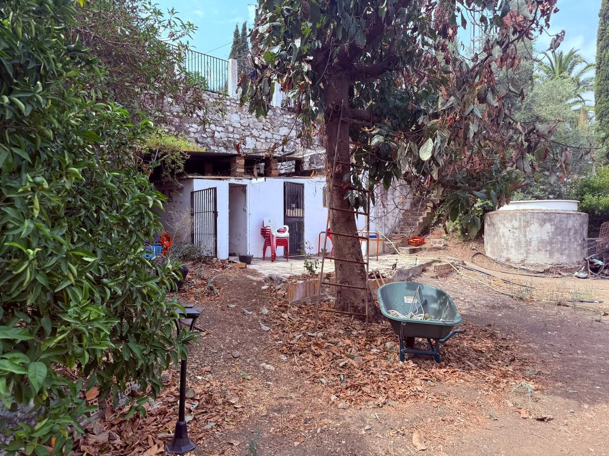 05 photo