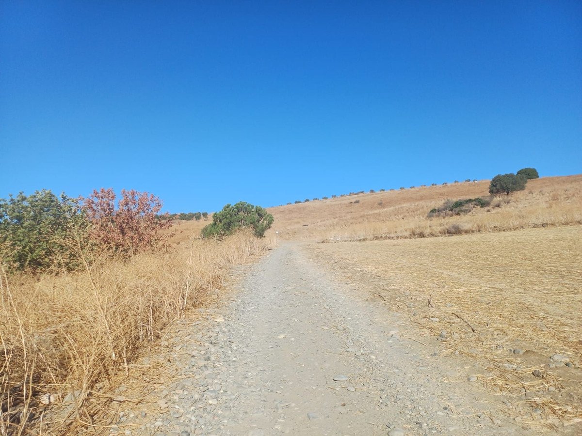 03 photo