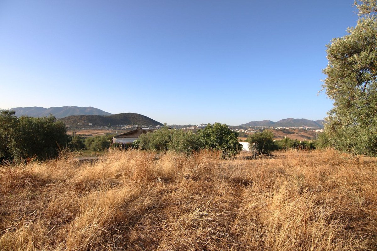 04 photo