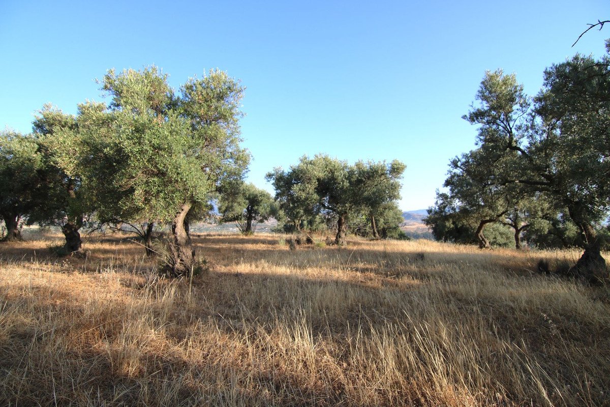05 photo
