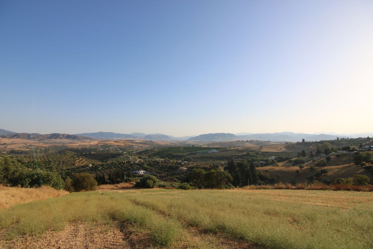 06 photo