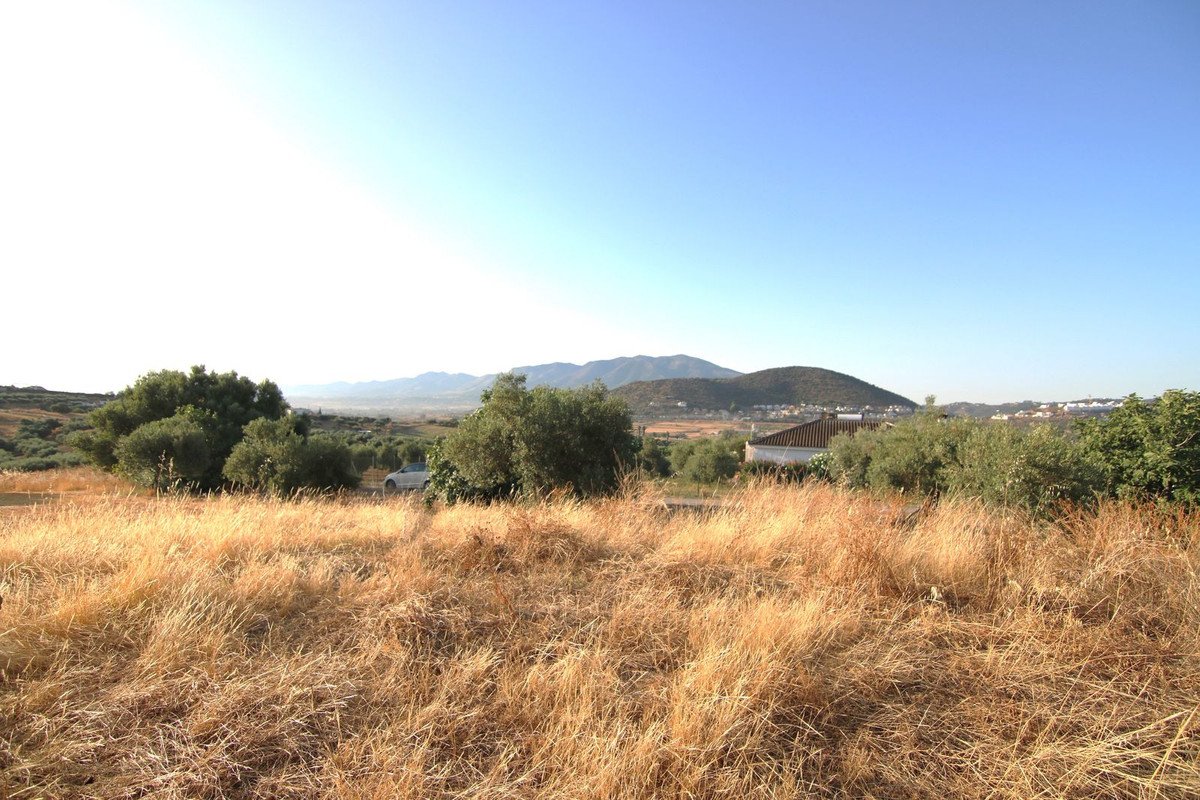 07 photo