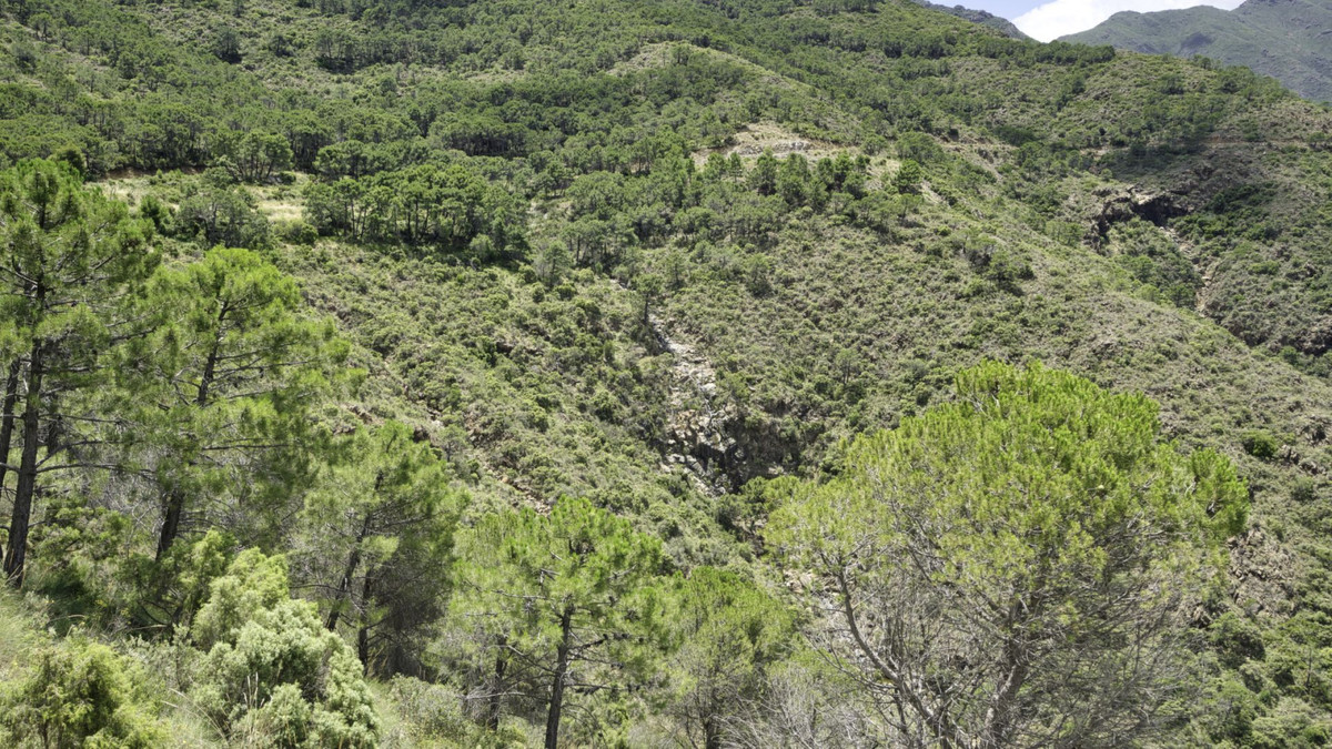 05 photo