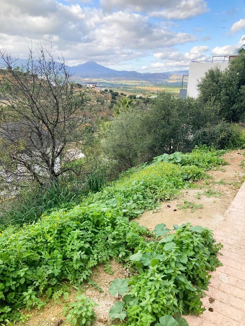 Residential Plot in Coín في Coín, قطعة أرض للبناء
