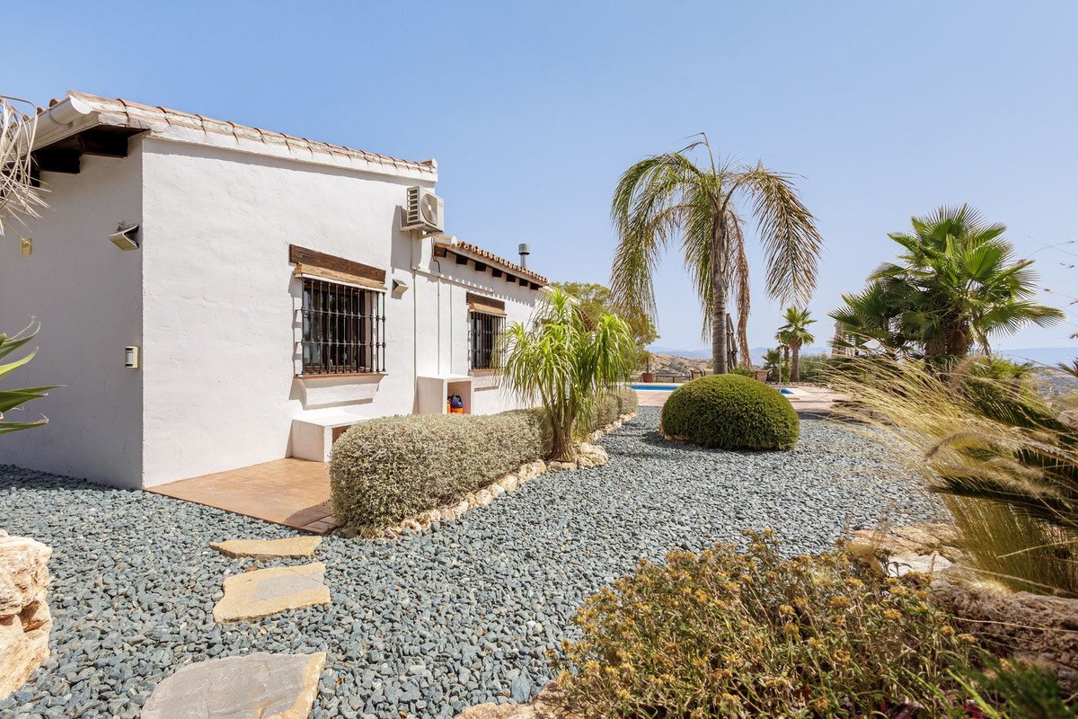 White house with palm trees and swimming pool in a landscaped garden
