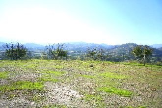 03 photo